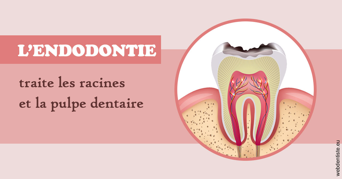https://selarl-docteur-valentine-sedennes.chirurgiens-dentistes.fr/L'endodontie 2